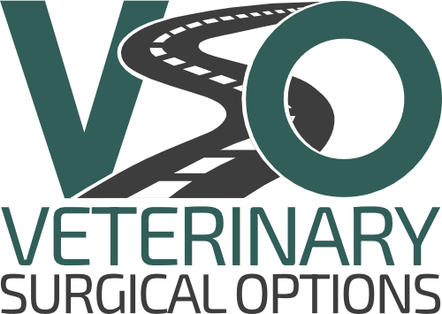 Veterinary Surgical Options